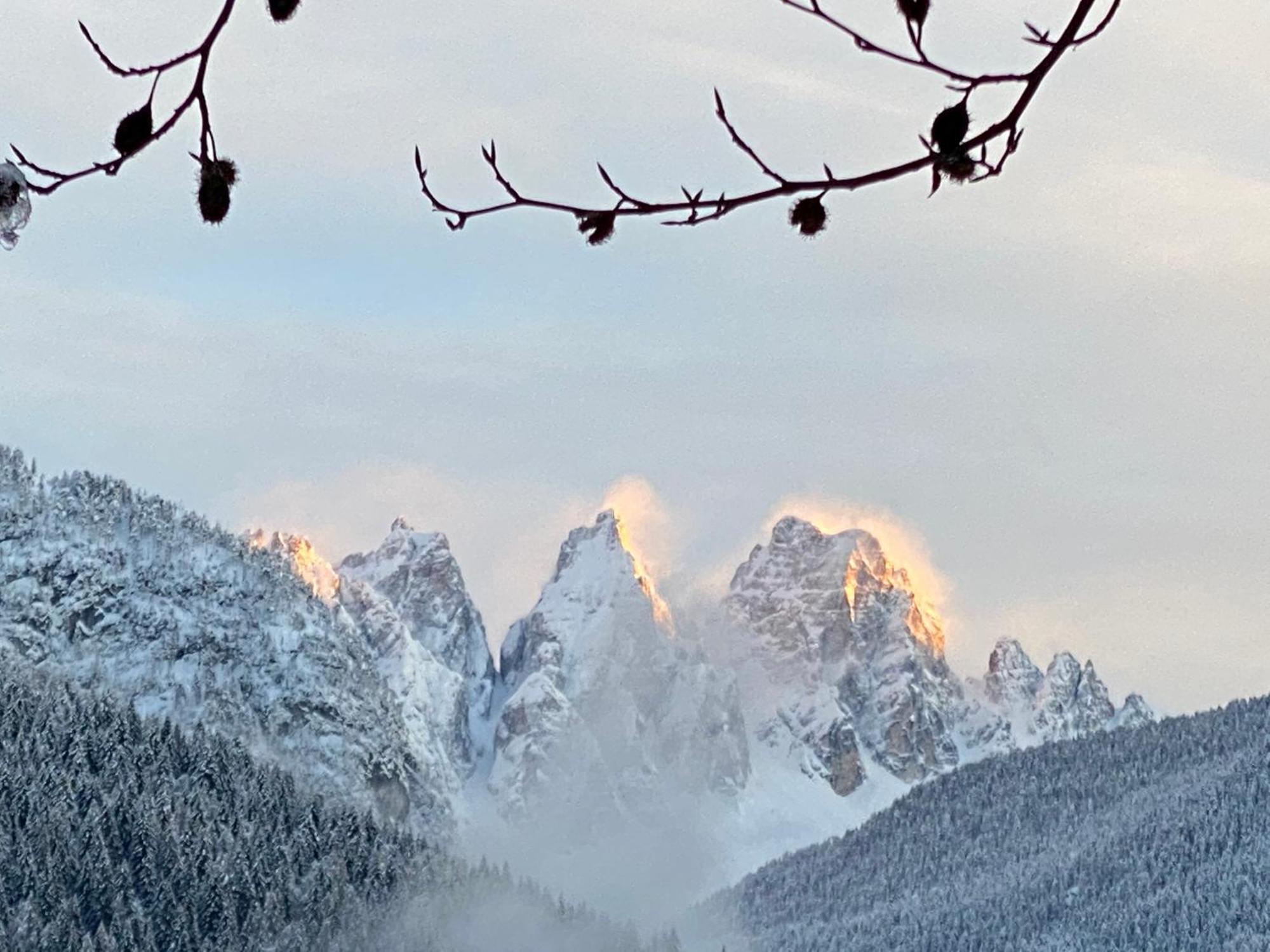 Fra Rose E Mughi Bed and Breakfast Domegge di Cadore Eksteriør billede